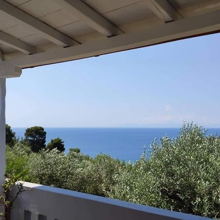 Elia House 1 Astoning Sea View Among The Olive Trees Appartement Patitiri Buitenkant foto