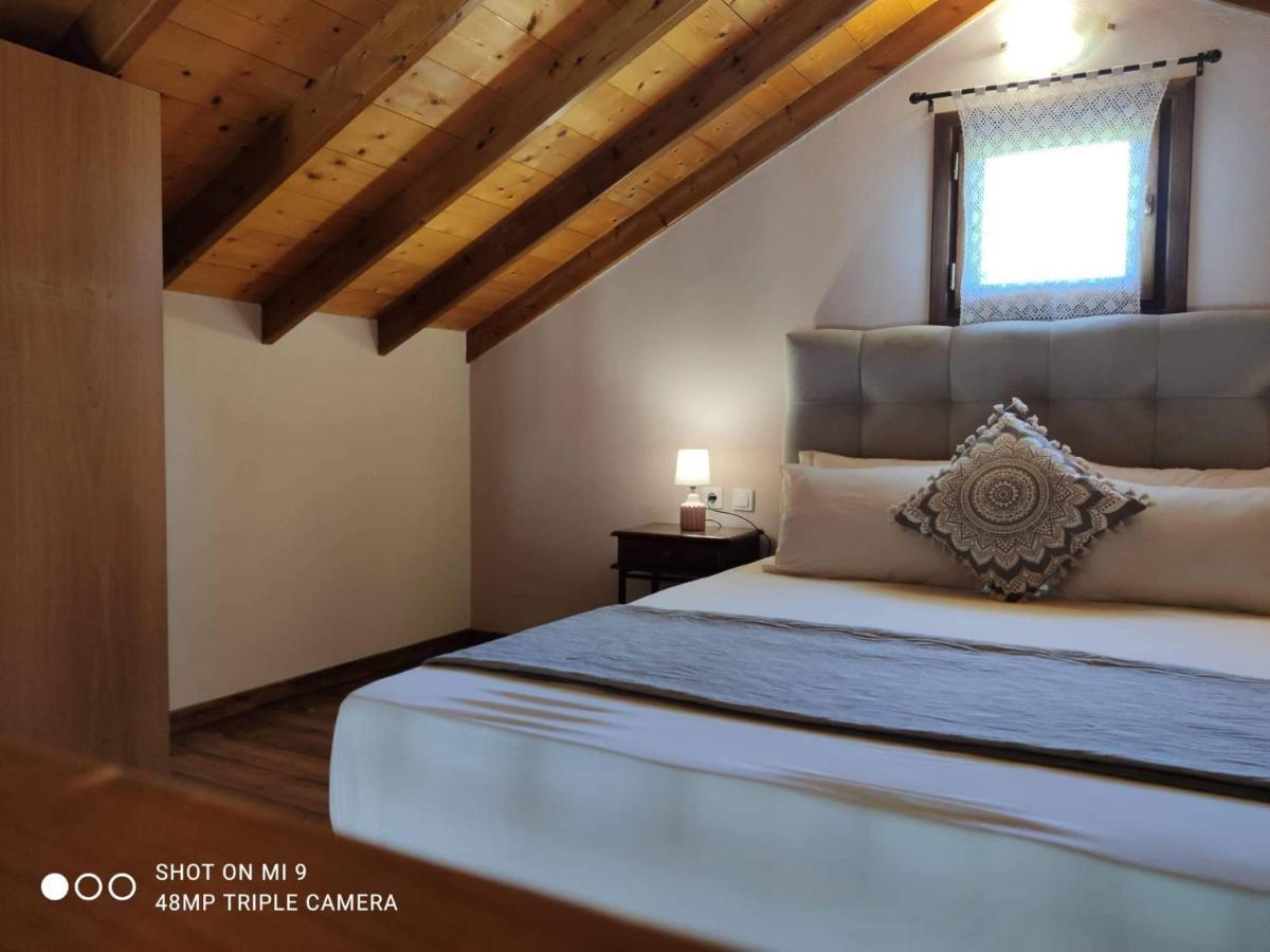 Elia House 1 Astoning Sea View Among The Olive Trees Appartement Patitiri Buitenkant foto