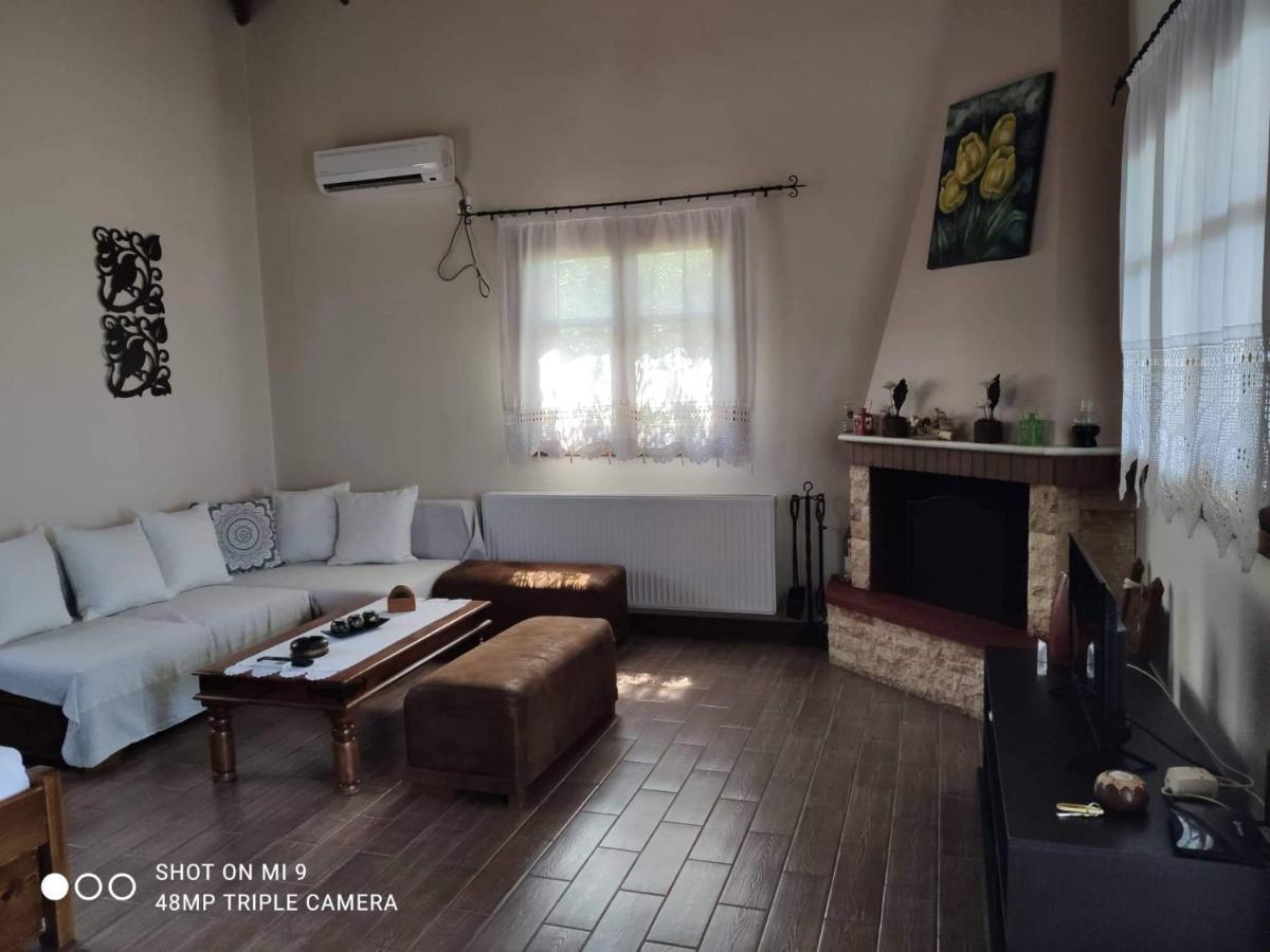 Elia House 1 Astoning Sea View Among The Olive Trees Appartement Patitiri Buitenkant foto