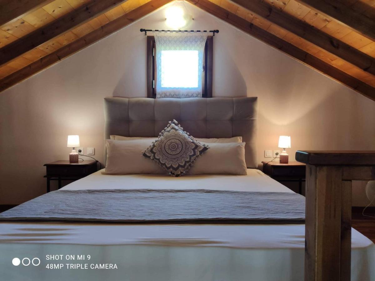 Elia House 1 Astoning Sea View Among The Olive Trees Appartement Patitiri Buitenkant foto