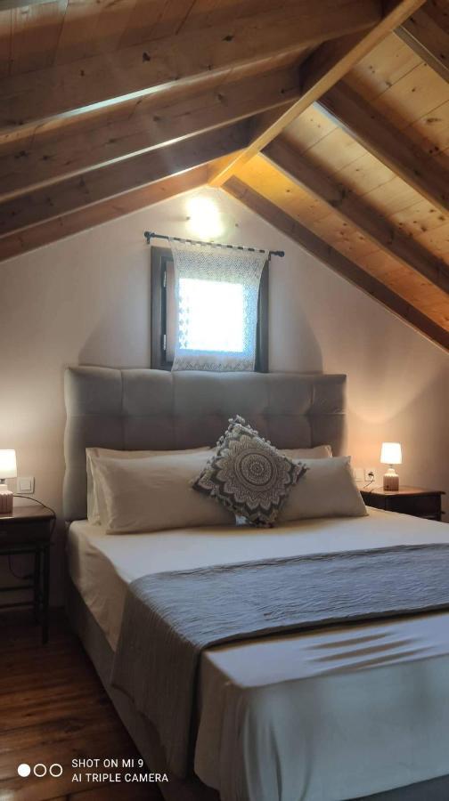 Elia House 1 Astoning Sea View Among The Olive Trees Appartement Patitiri Buitenkant foto