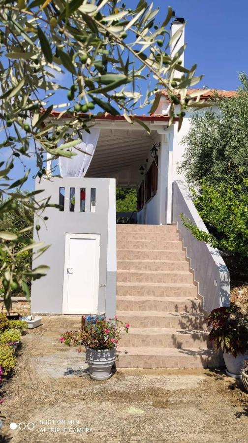 Elia House 1 Astoning Sea View Among The Olive Trees Appartement Patitiri Buitenkant foto