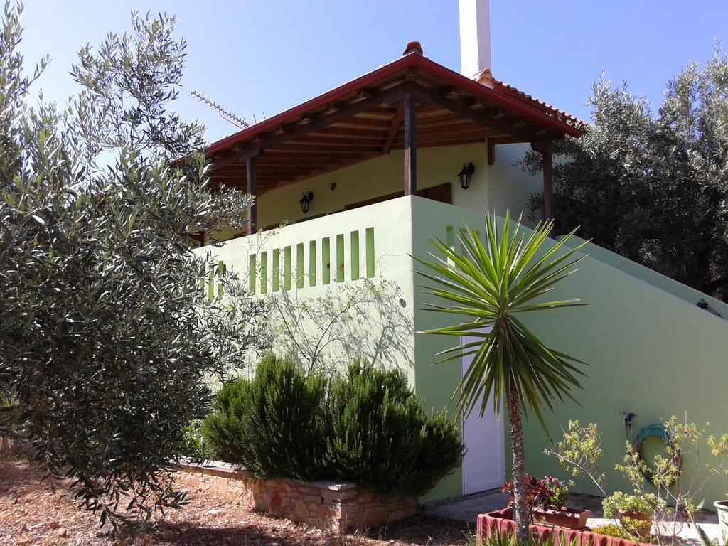 Elia House 1 Astoning Sea View Among The Olive Trees Appartement Patitiri Buitenkant foto