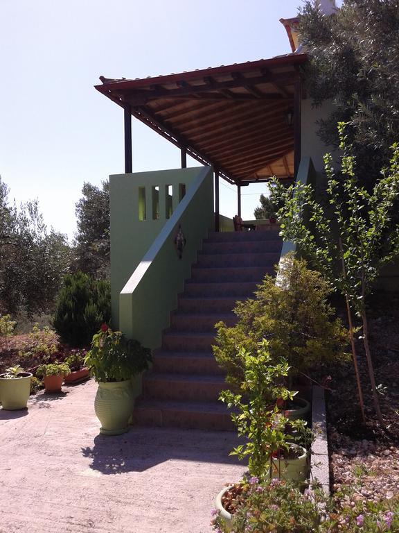 Elia House 1 Astoning Sea View Among The Olive Trees Appartement Patitiri Buitenkant foto